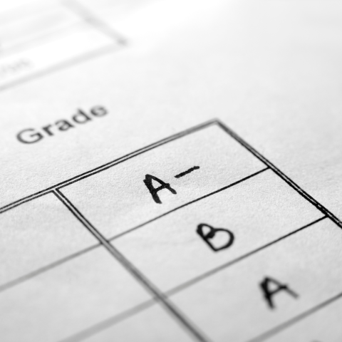 Grades 9 - 12